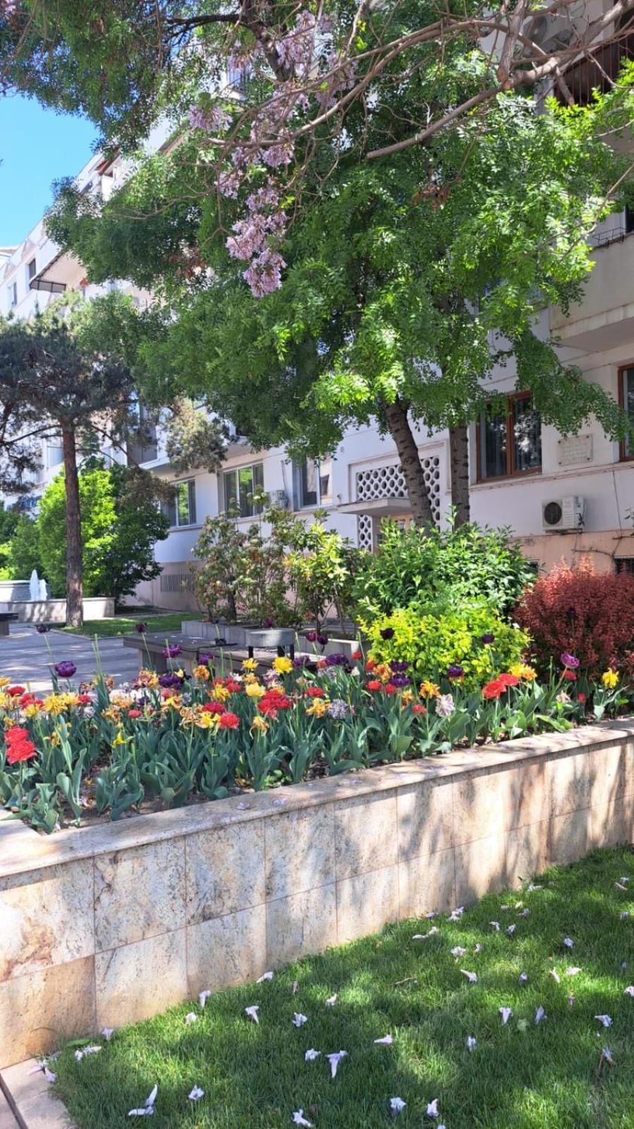 Apartament Kitty Centrul Istoric Craiova Ngoại thất bức ảnh